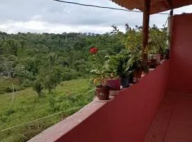 Chalés da Nega - Itacaré, Engenhoca, Havaizinho & Itacarezinho