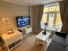 Koselig studioleilighet i sentrum