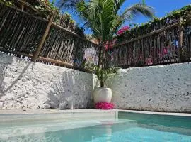 Mbaliparadise Guest Lodge PEMBA