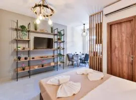 ApollonStudio