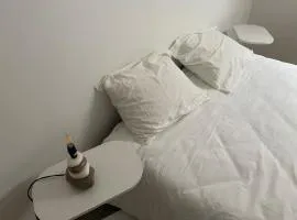 Le Wolf - 1 Chambre privée dans un appartement - 5mn tram du centre ville - 15mn tram Gare TGV Mulhouse - Wifi - Parking