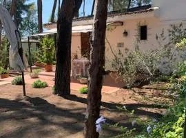 Chalet Felicita con giardino Immerso nel bosco