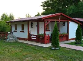 Gocki raj 2