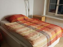 Men's Dormitory - Männerschlafsaal, hotel cápsula en Brüttisellen