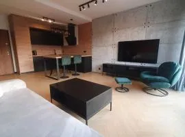 Apartament LOFT