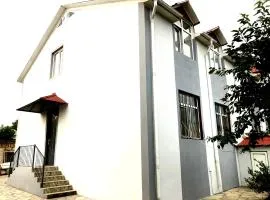 Qabala OLD Villa