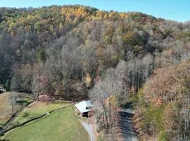 Wears Valley Cabin on 5 Acres, Hot Tub, Pets
