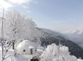 GlampEco Manali