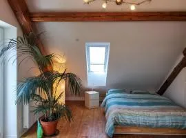 Exklusive Penthouse Wohnung, nahe zur Schweiz