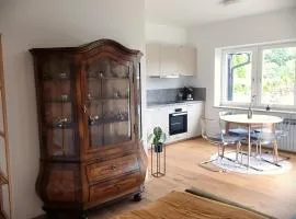 Apartments in Graz