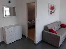 Apartments Dobrila - One Bedroom Apartment with Terrace and sea view - B1