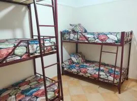 Alexandria Hostel هوستل الاسكندرية