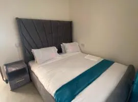 Olive Homes Stylish 3 Bdrm Suites - 07