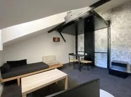 Superbe studio avec terrasse - Cathédrale
