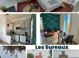 cosy T2- Les sureaux