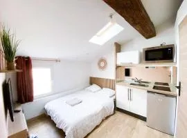 Tiny Flat - Coeur de ville studio sous les toits