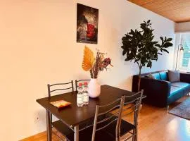 City Vibe Apartment