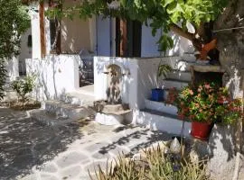 Iro's Cute House