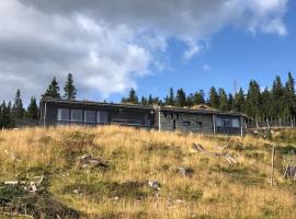 Moderne hytte Sjusjøen, hotel en Sjusjøen