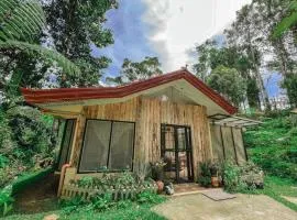TwinkleVille Christmas-Themed Cottage