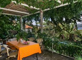 Apartments Maria Kolo ep- Studio Apartment with Terrace and Sea View, hotel de playa en Koločep