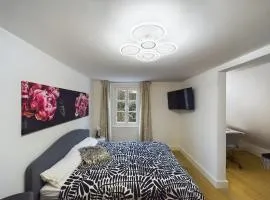 Sani Suite