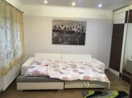 Rabbit apartman