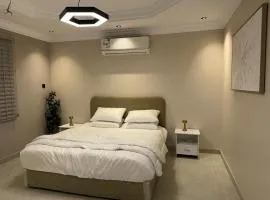 شقة فاخرة