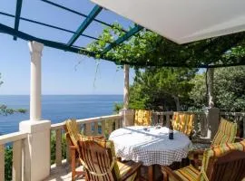 Apartments Plavac Mali- Three Bedroom Apartment with Terrace and Sea View