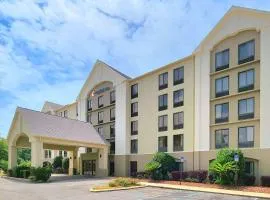 Comfort Inn Pensacola - University Area