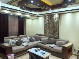 family& friends maadi apartment