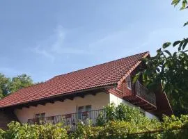 Casa Matei