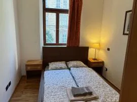 Vitkova apartment with balcony