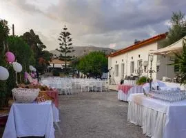Oasis Studios AG PANTES
