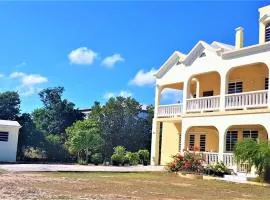 Island Paradise Apartments