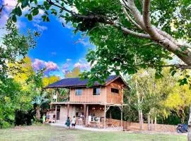 Firefly Treehouse Cafe and Bar