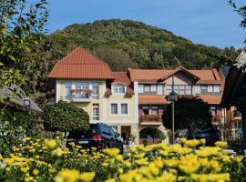 Chervona Ruta, hotel v destinaci Šajan