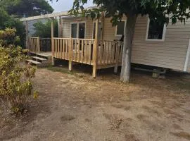 Charmant mobil-home premium 174