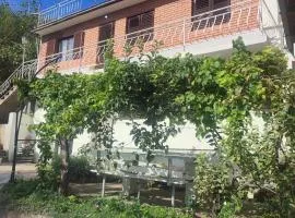 Vila Ružica