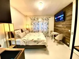 RIVER FRONT NEAR FRANKFURT-AIR CONDITIONER-Private PARKING