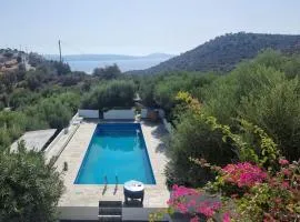 Olive Grove Serenity villa