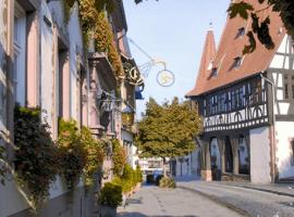 Hotel-Restaurant Drei Hasen, hotell i Michelstadt