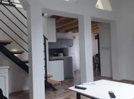 Duplex stan u Beogradu