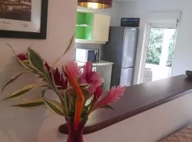 Appartement spacieux quartier calme de Sofaia