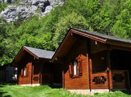 Camping Valle de Bujaruelo, viešbutis mieste Torla