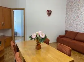 Apartma ROGATEC 2