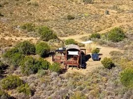 Protea Lodge - Glamping in the Karoo
