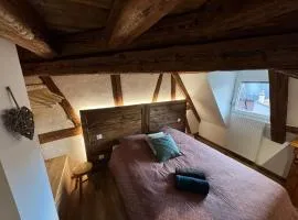 Gite Premium au grenier de l'Ours