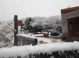 Luz del Rincón