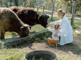 Family Fun On The Farm! Close to Kenilworth Stylish Feed Friendly Cows Breathtaking 360 Views